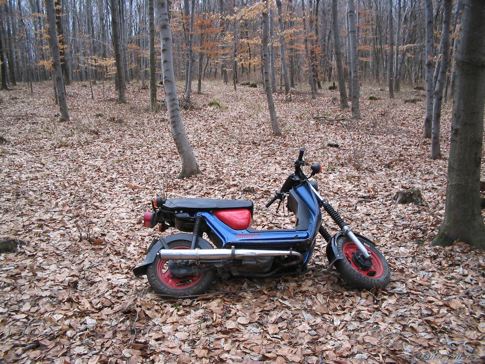 2006 SIMSON SR 50 | Picture 583588 motorcycle photo