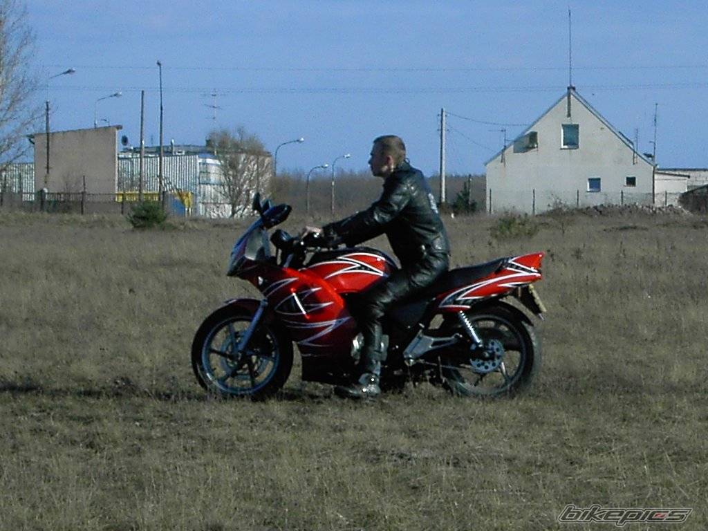 1993 HONDA CB 500 | Picture 584227 motorcycle photo