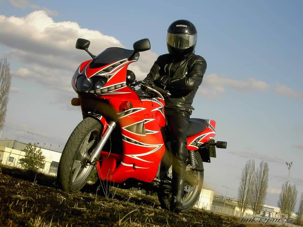 1993 HONDA CB 500 | Picture 584240 motorcycle photo