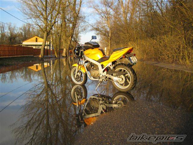 2005 HYOSUNG GT 125 COMET | Picture 584742 motorcycle photo