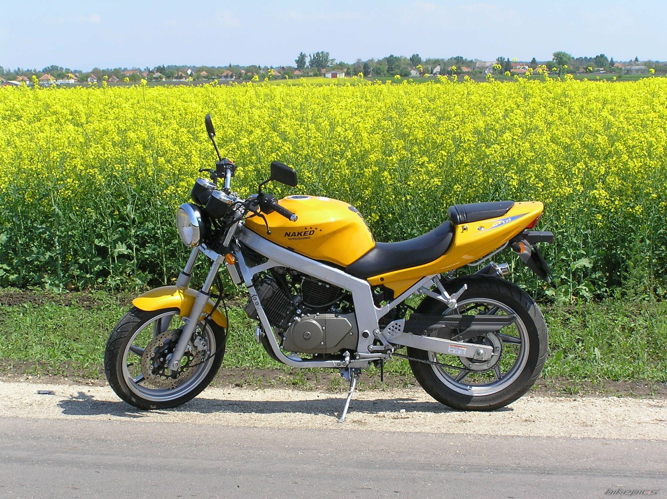 2005 HYOSUNG GT 125 COMET | Picture 584756 motorcycle photo