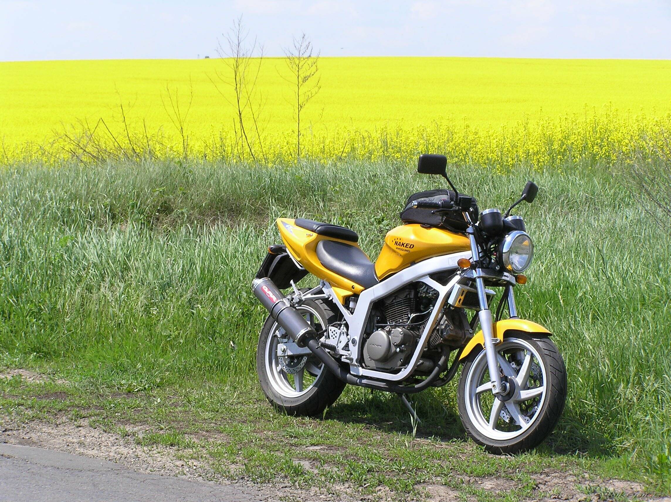 2005 HYOSUNG GT 125 COMET | Picture 584790 motorcycle photo