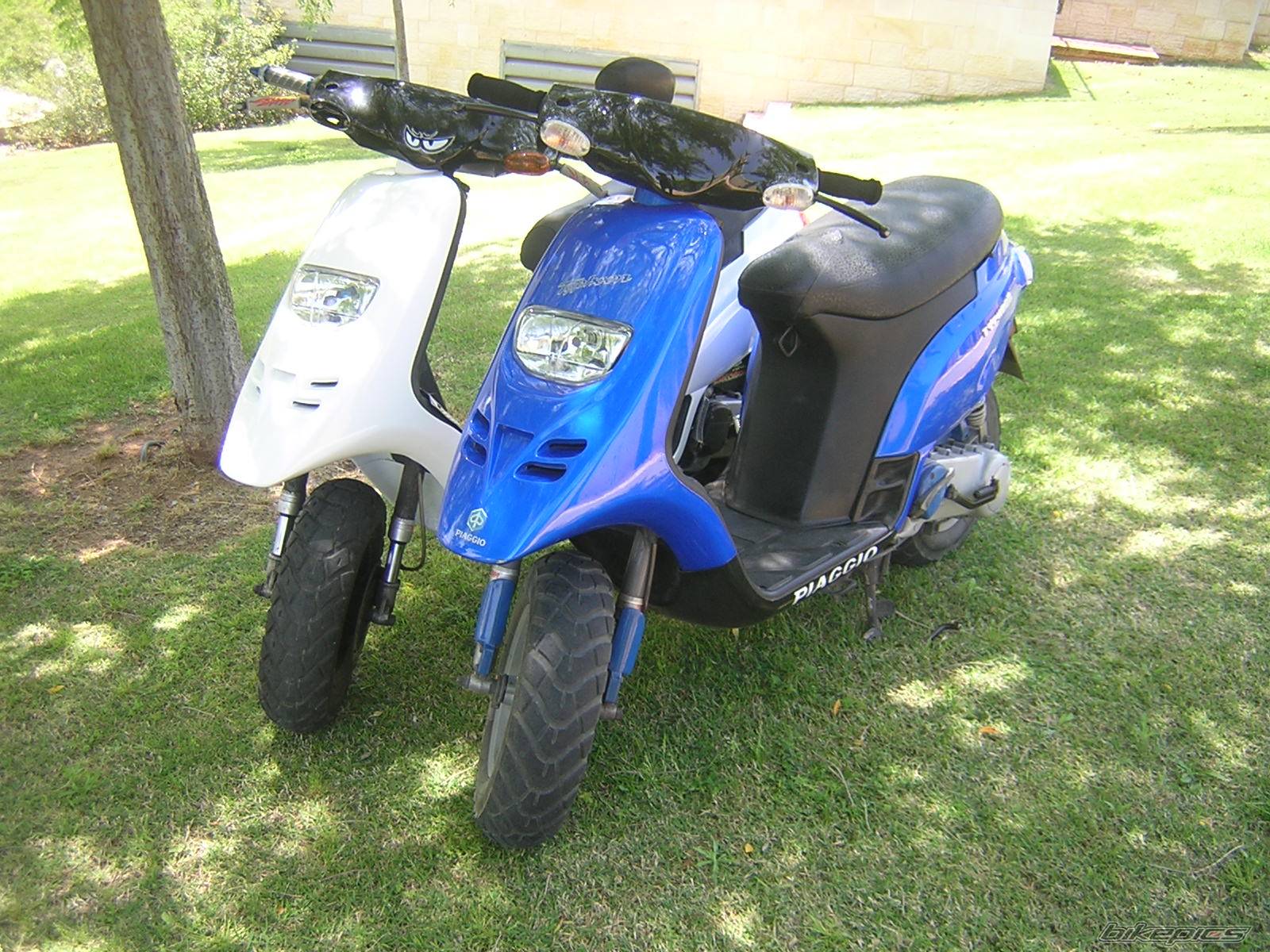 1995 PIAGGIO TYPHOON 80 | Picture 584796 motorcycle photo