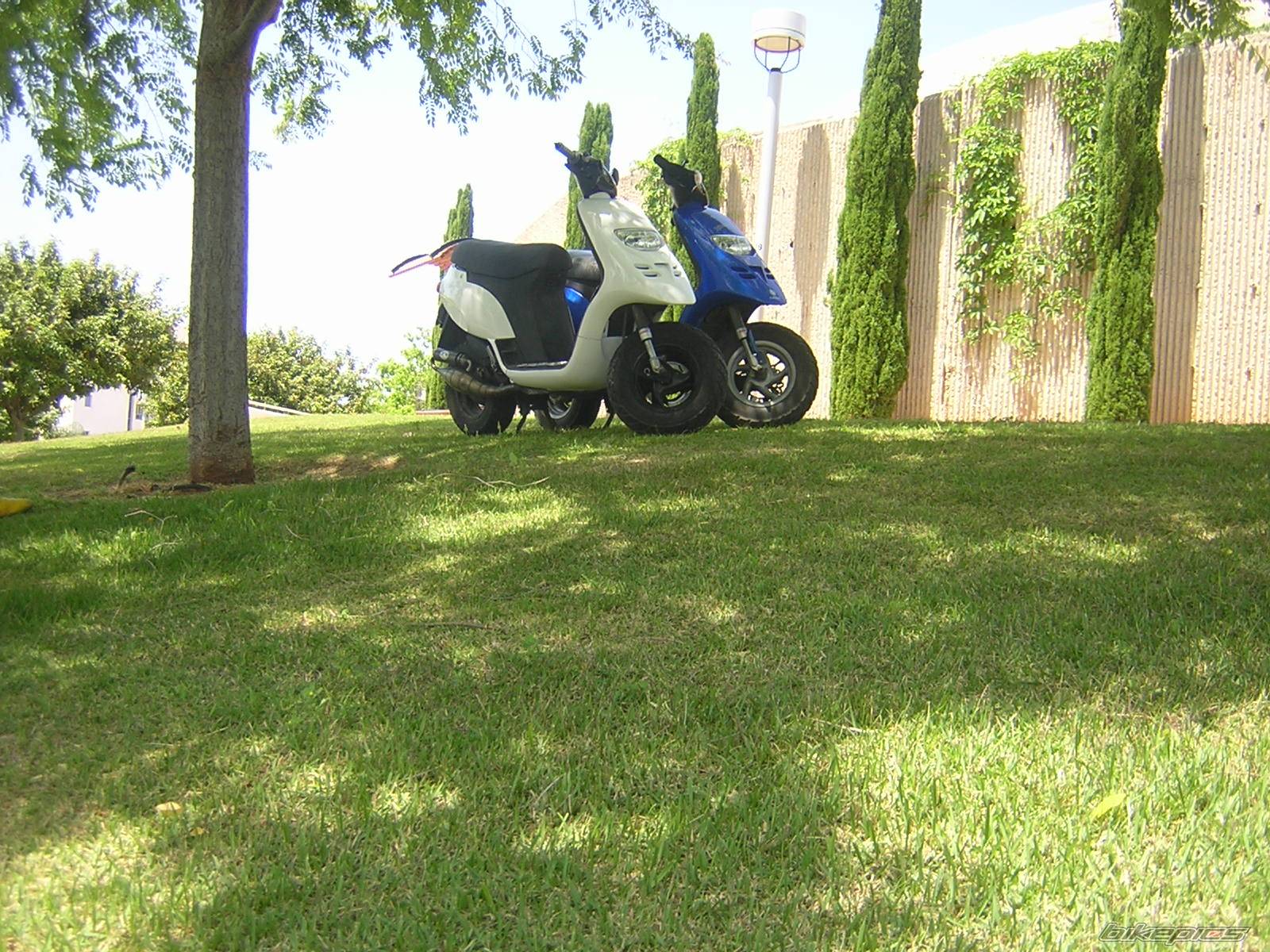 1995 PIAGGIO TYPHOON 80 | Picture 584798 motorcycle photo