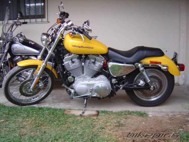 2005 HARLEY DAVIDSON XL 883C | Picture 585063 motorcycle photo