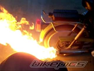 1995 JAWA 50 | Picture 585089 motorcycle photo