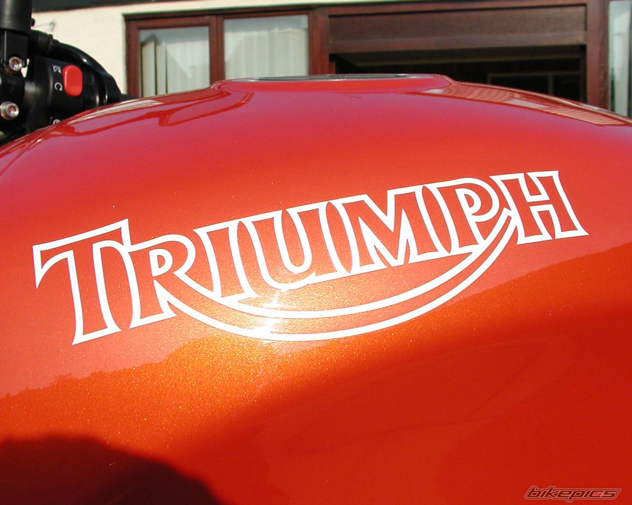 1997 TRIUMPH SPEED TRIPLE | Picture 585989 motorcycle photo