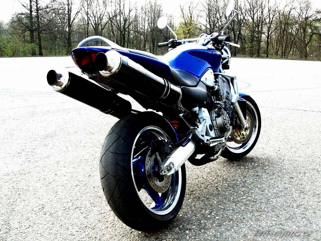 2003 HONDA CB 900 | Picture 586236 motorcycle photo
