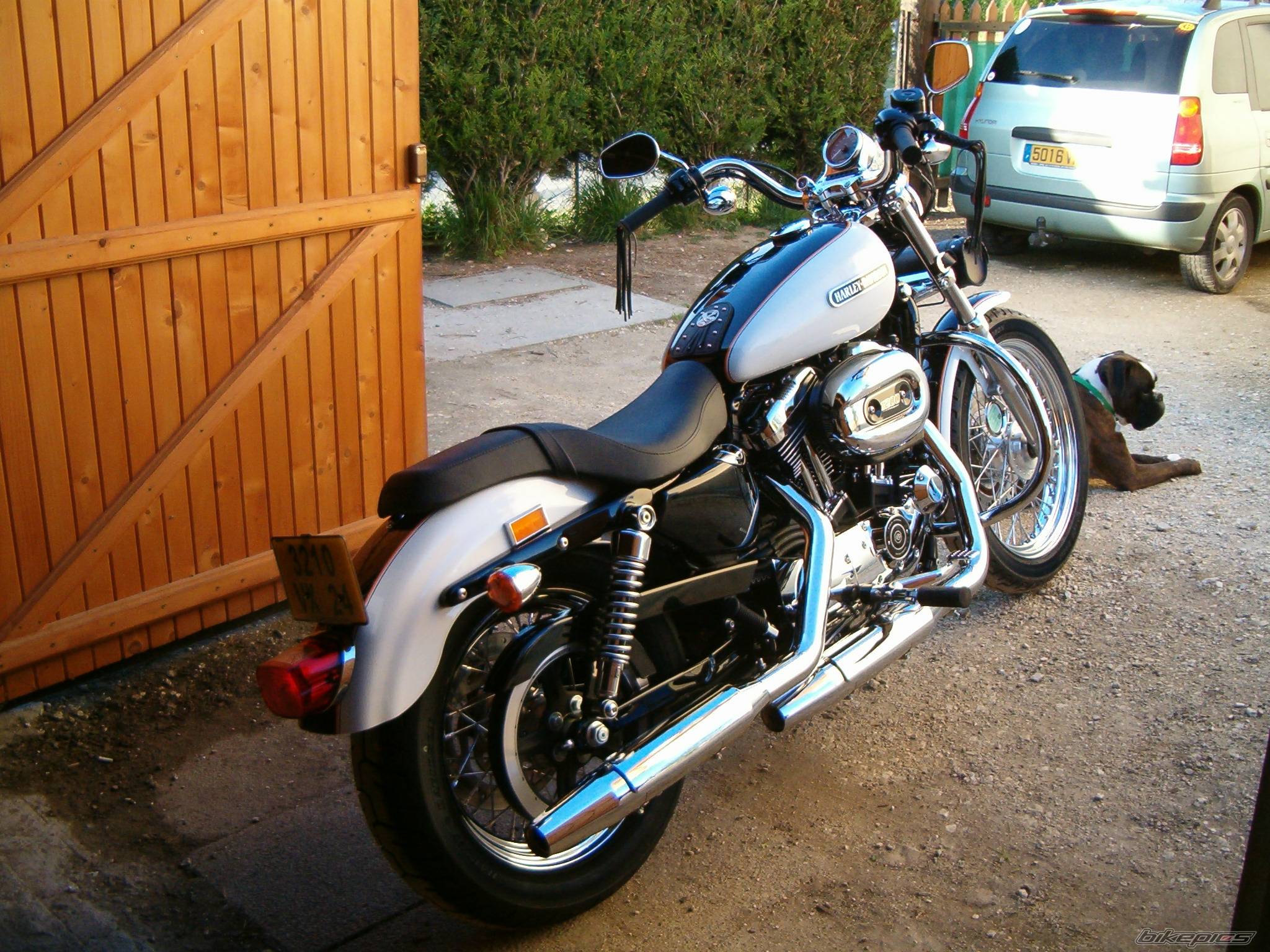 2006 HARLEY DAVIDSON XL 1200 C | Picture 587170 motorcycle photo