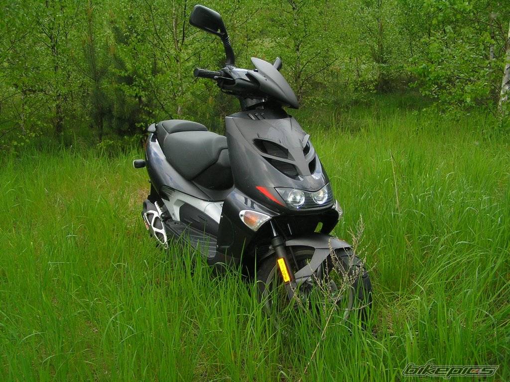 2004 APRILIA SR 50 | Picture 587235 motorcycle photo