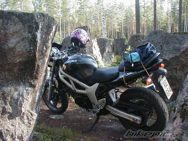 2000 SUZUKI SV 650 | Picture 58739 motorcycle photo