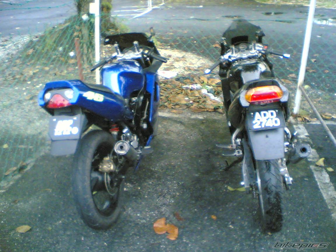 2006 YAMAHA TZM 150 | Picture 587440 motorcycle photo