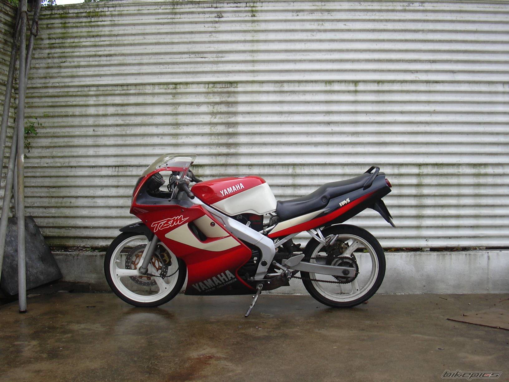2006 YAMAHA TZM 150 | Picture 588114 motorcycle photo