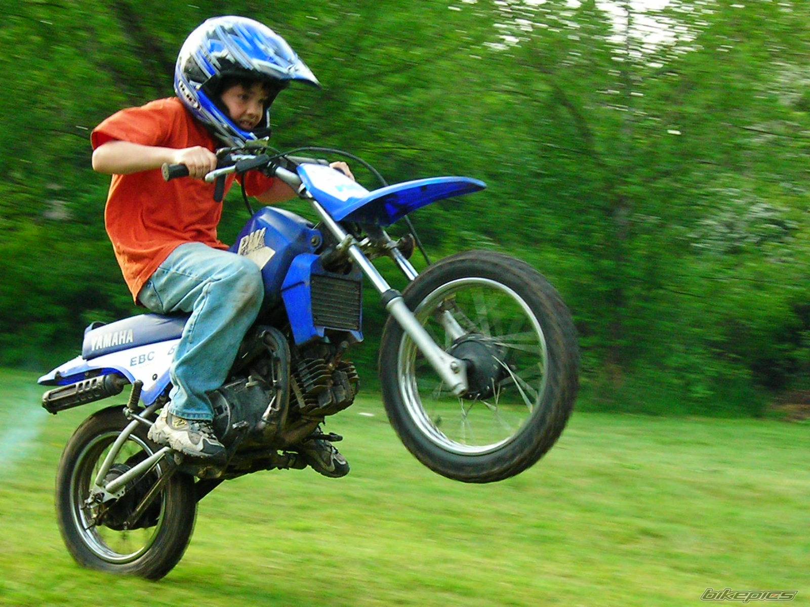 2001 YAMAHA PW 80 | Picture 588605 motorcycle photo