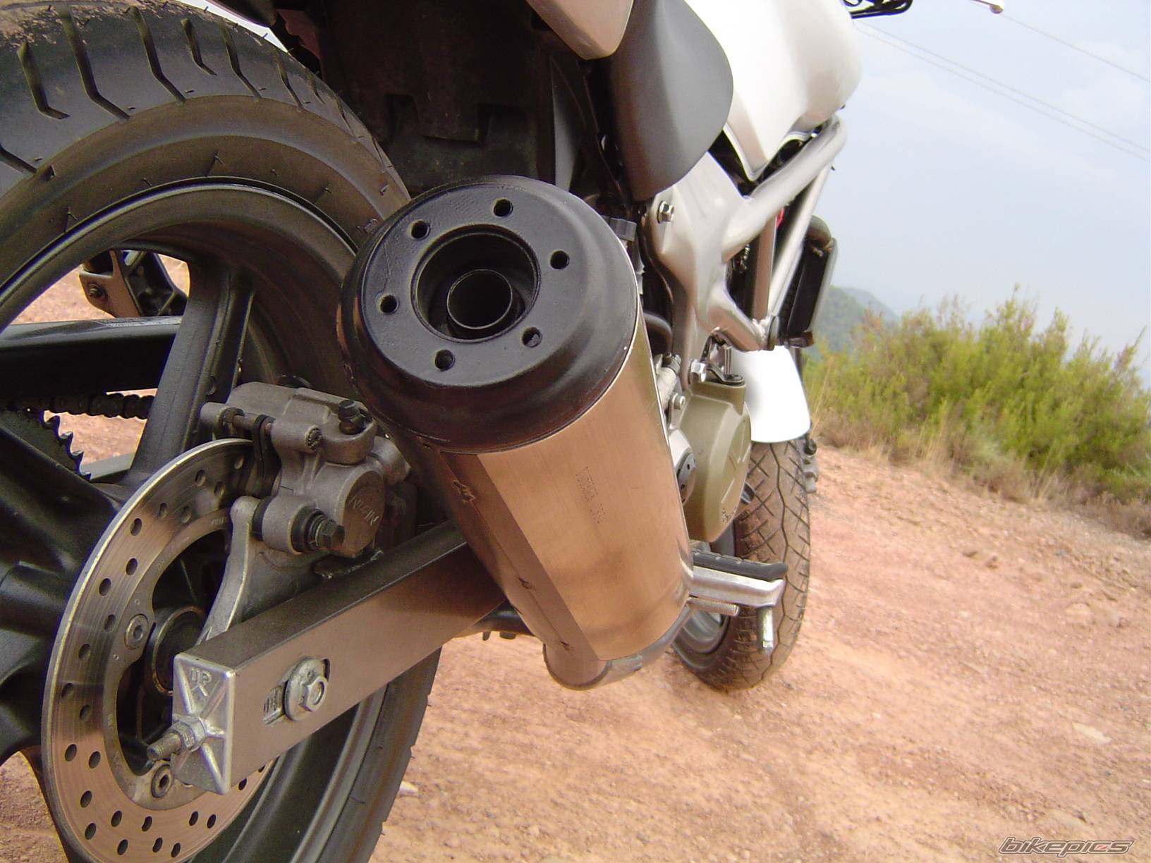 1999 HONDA VTR 250 | Picture 58891 motorcycle photo