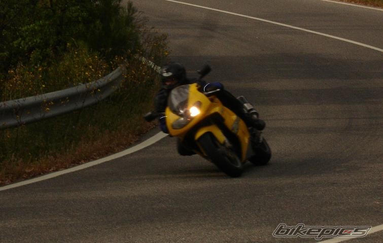 1999 SUZUKI TL1000R | Picture 589231 motorcycle photo