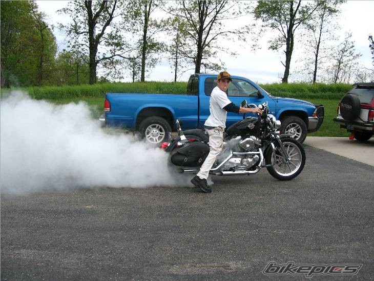 2002 HARLEY DAVIDSON XLH 883 HUGGER | Picture 589346 motorcycle photo
