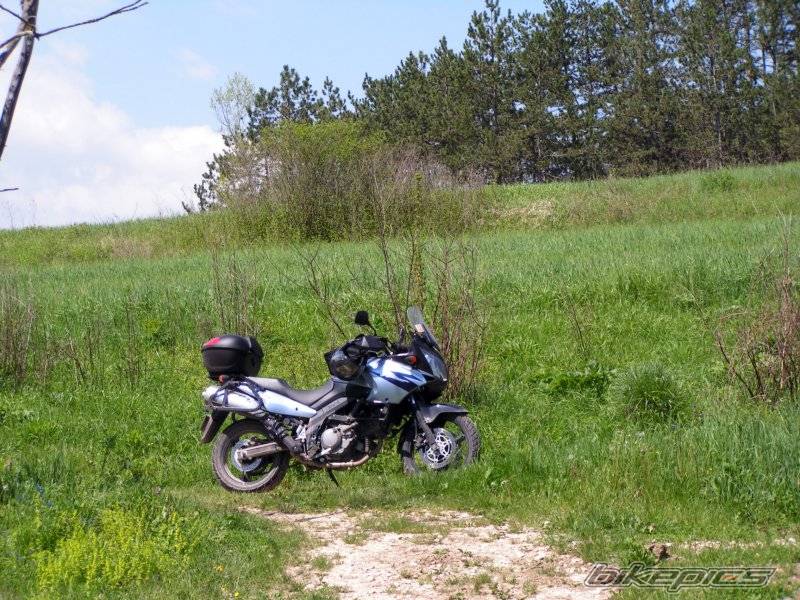 2006 SUZUKI DL 650 | Picture 589548 motorcycle photo