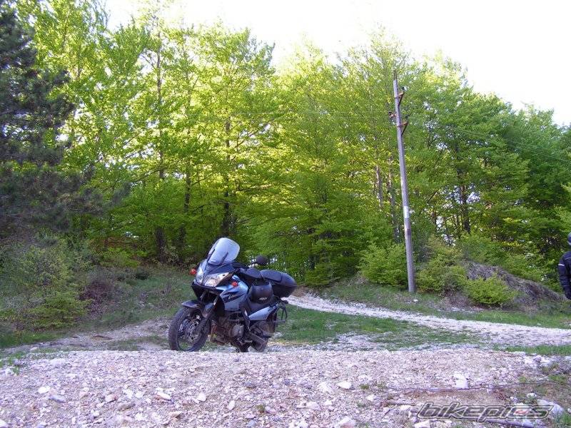 2006 SUZUKI DL 650 | Picture 589549 motorcycle photo