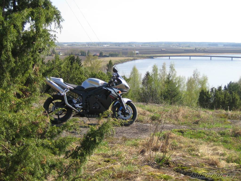 2003 YAMAHA YZF R6 | Picture 589581 motorcycle photo