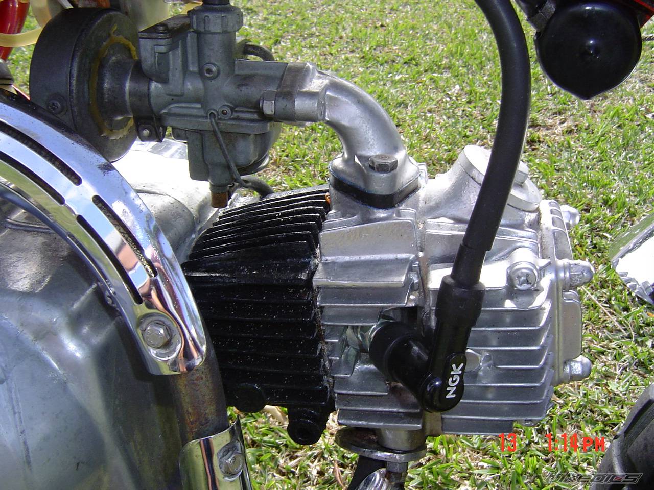 1972 HONDA Z 50 | Picture 58959 motorcycle photo