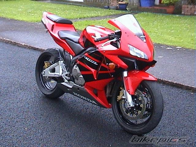 2004 HONDA CBR 600 | Picture 589606 motorcycle photo