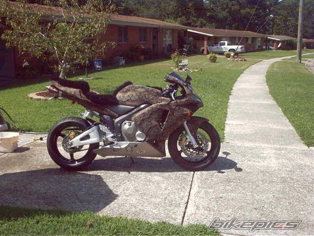 2003 HONDA CBR 600 | Picture 59004 motorcycle photo