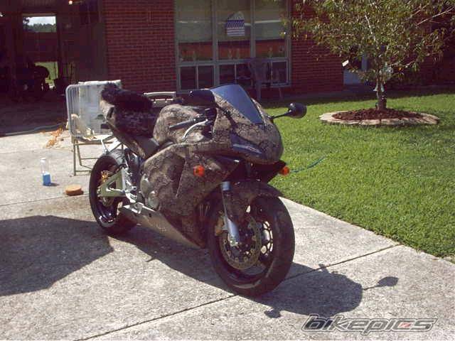 2003 HONDA CBR 600 | Picture 59005 motorcycle photo