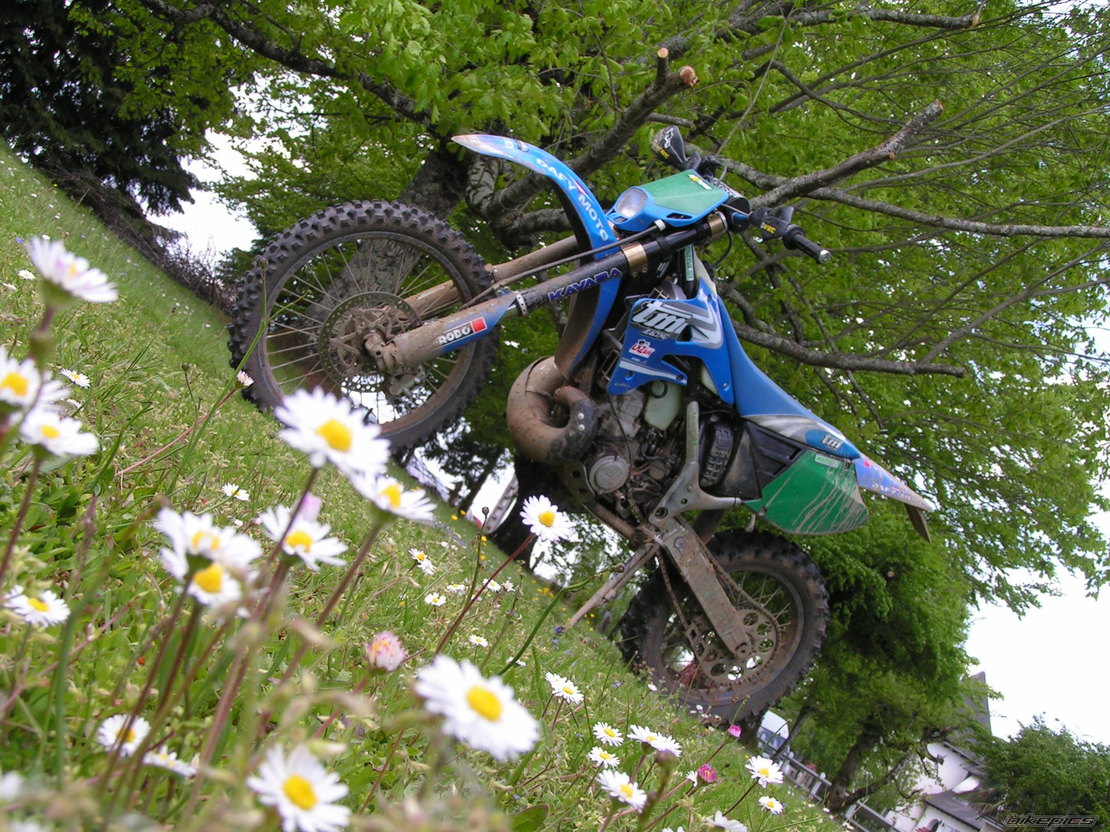 2005 TM TM250 ENDURO | Picture 590226 motorcycle photo