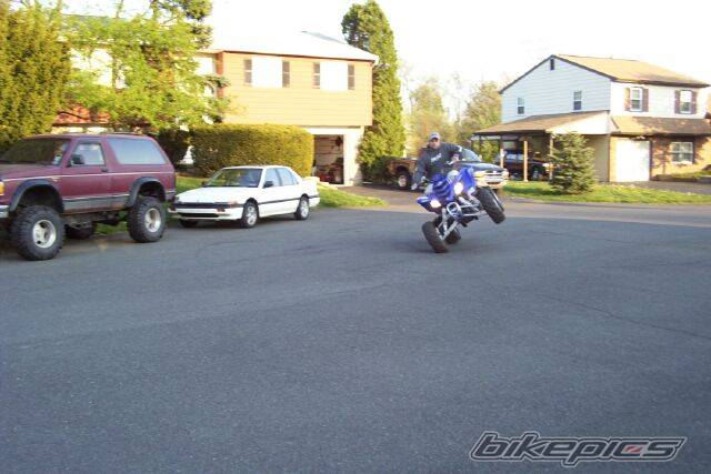 2003 YAMAHA RAPTOR YFM 660 | Picture 59058 motorcycle photo