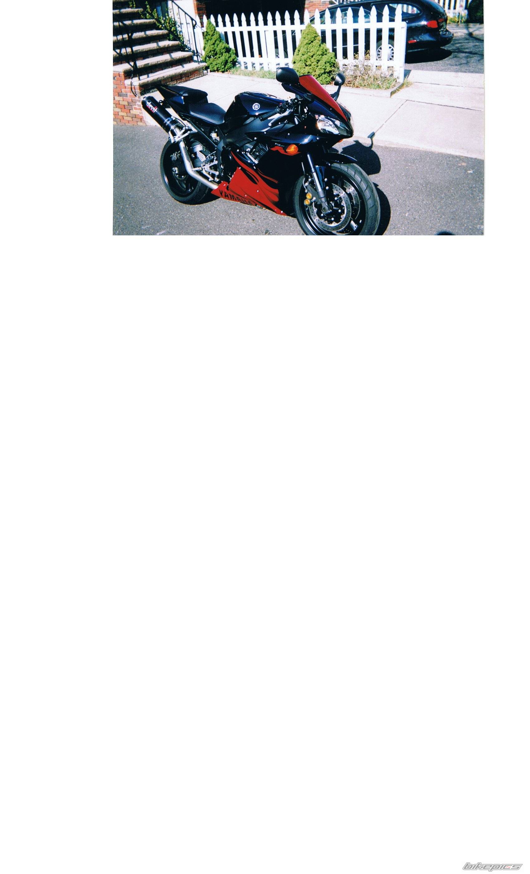 2003 YAMAHA YZF R1 | Picture 590668 motorcycle photo