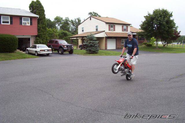 2003 HONDA XR 50 | Picture 59070 motorcycle photo