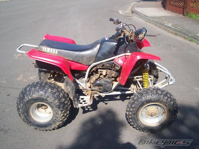 1999 YAMAHA BLASTER | Picture 590721 motorcycle photo