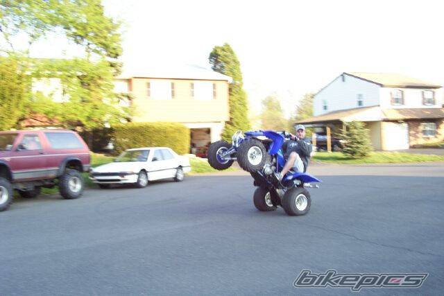 2003 YAMAHA RAPTOR YFM 660 | Picture 59077 motorcycle photo