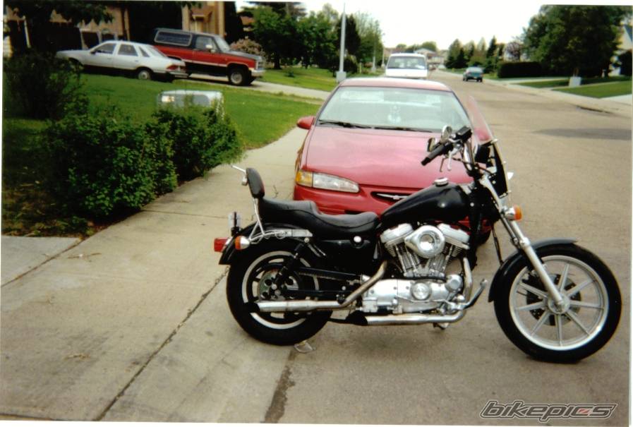 1988 HARLEY DAVIDSON XL 883C | Picture 59092 motorcycle photo