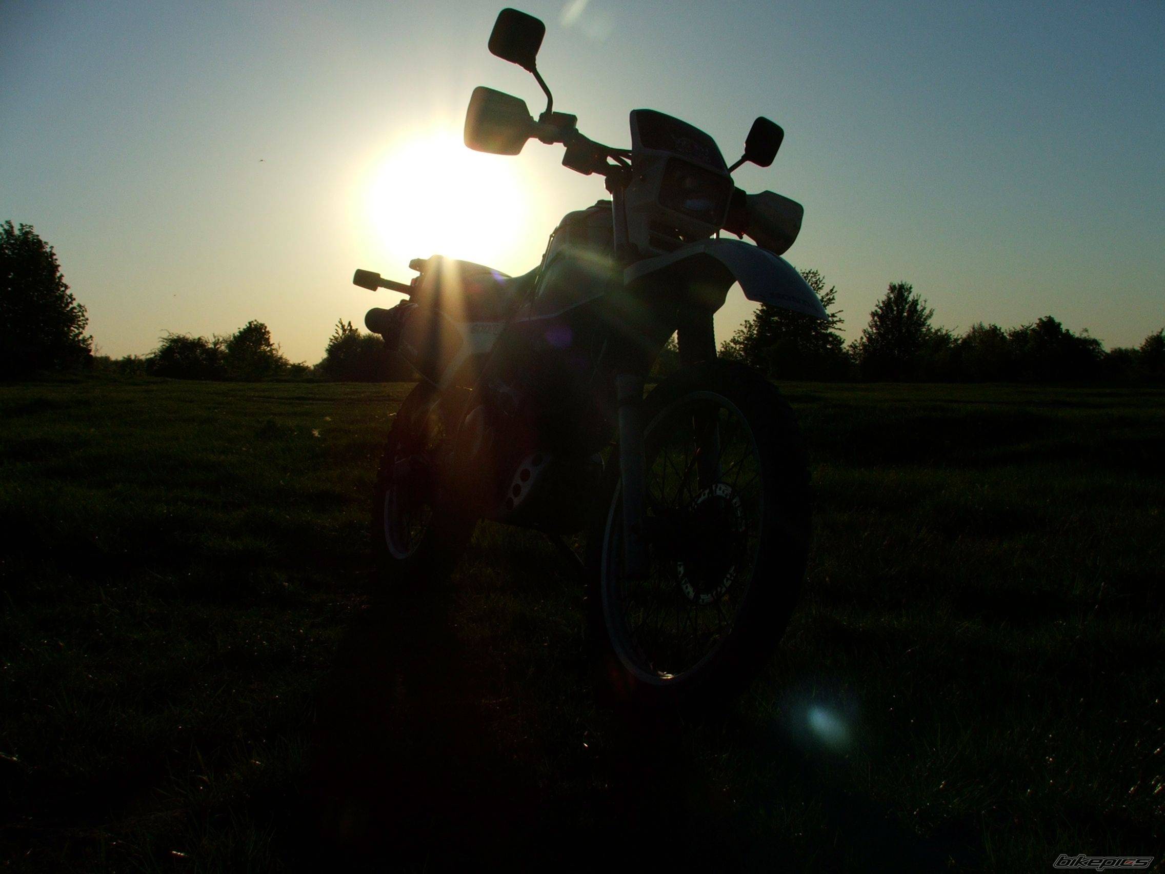 1987 HONDA XL 600 | Picture 591067 motorcycle photo