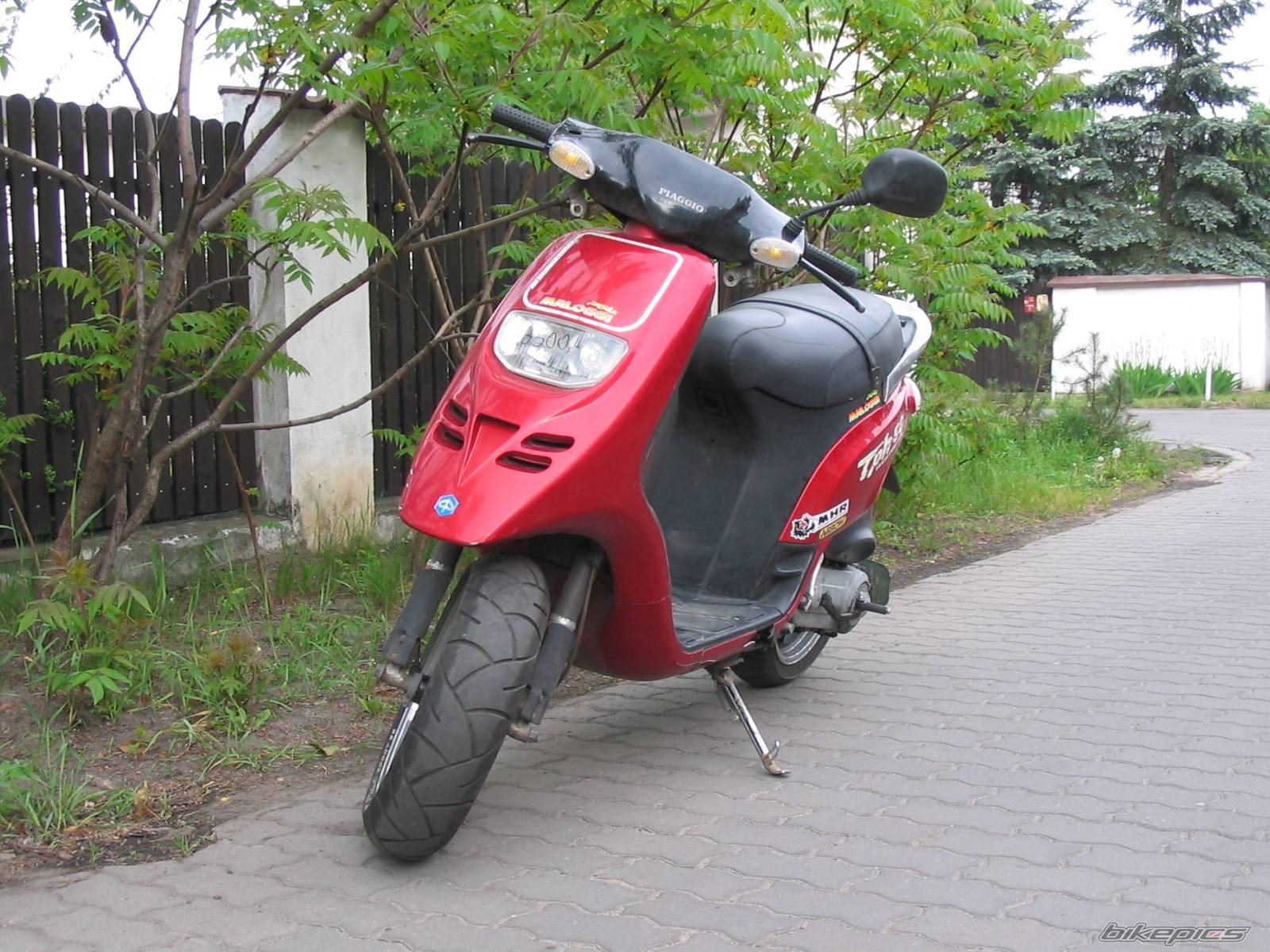1996 PIAGGIO TPH 50 | Picture 591347 motorcycle photo