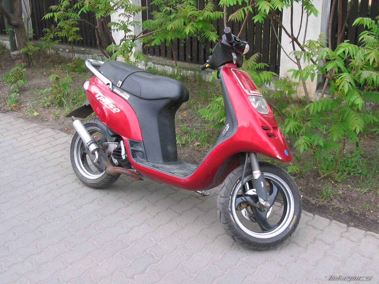 1996 PIAGGIO TPH 50 | Picture 591352 motorcycle photo