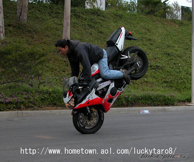 2002 HONDA CBR 900 | Picture 591438 motorcycle photo
