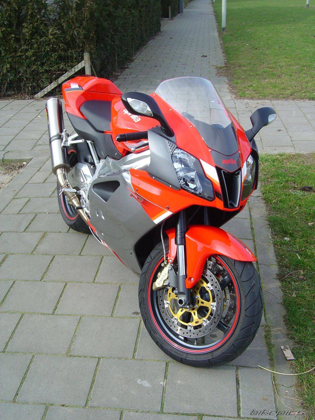 2004 APRILIA RSV 1000R MILLE | Picture 591746 motorcycle photo