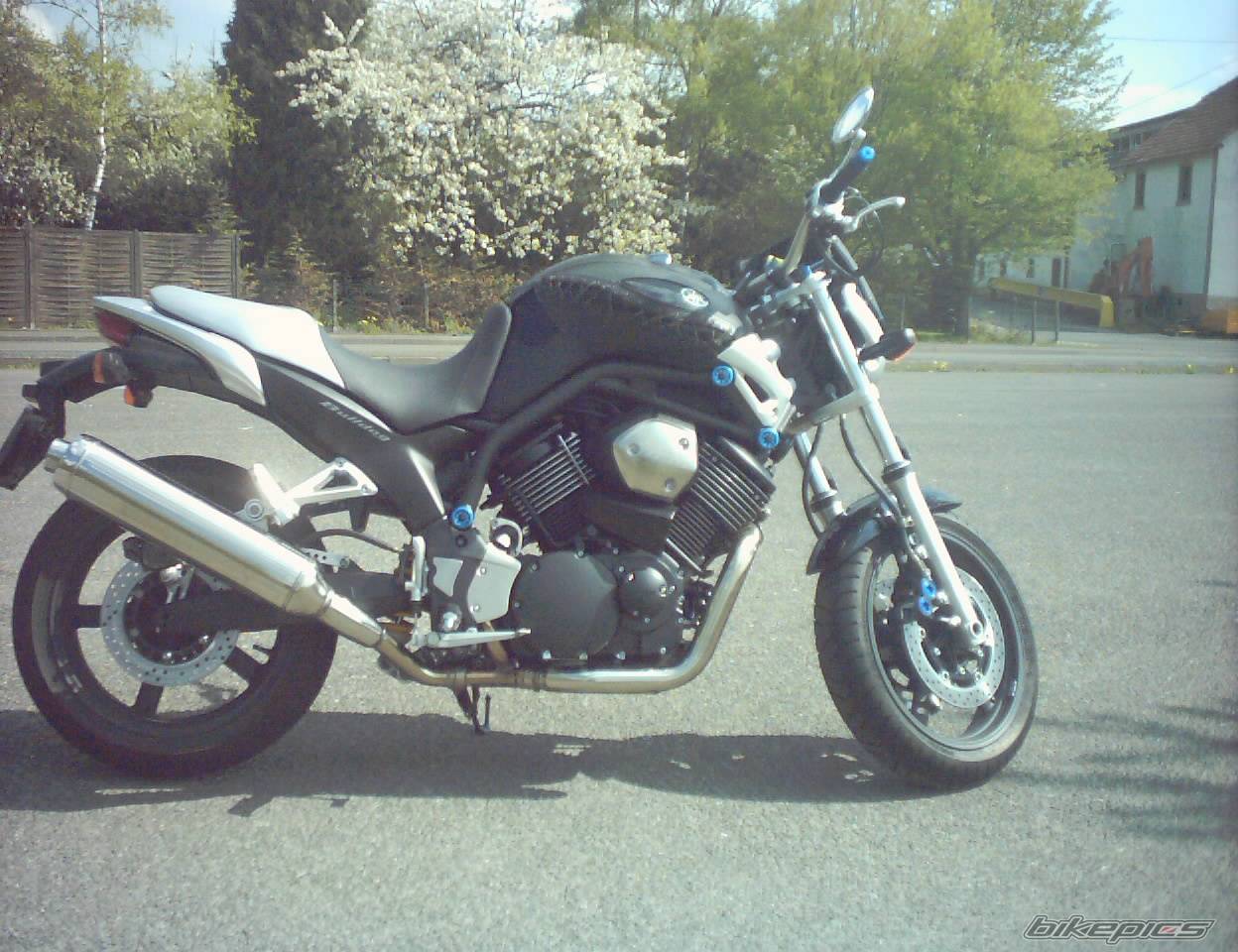 2004 YAMAHA BULLDOG | Picture 591764 motorcycle photo