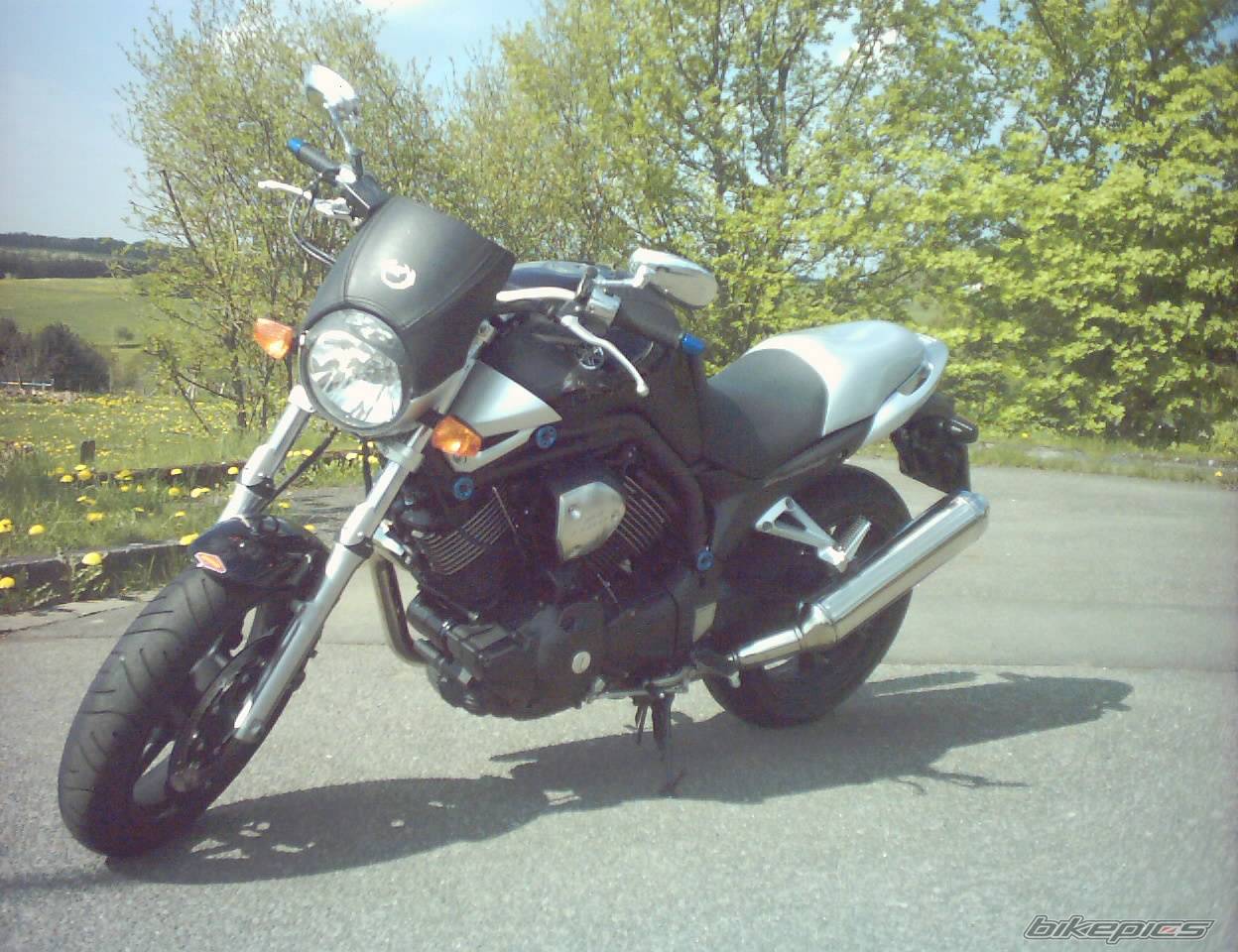2004 YAMAHA BULLDOG | Picture 591766 motorcycle photo