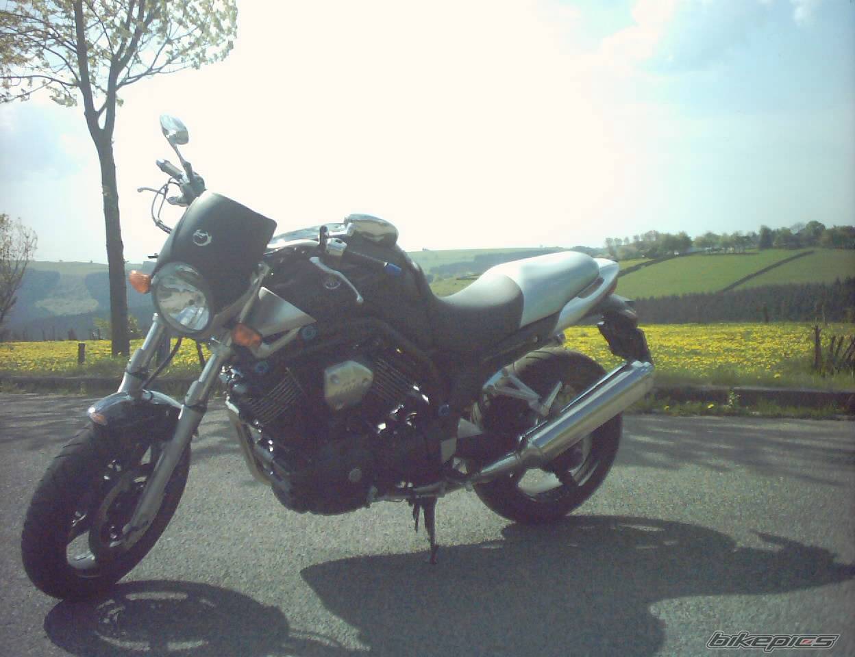 2004 YAMAHA BULLDOG | Picture 591767 motorcycle photo