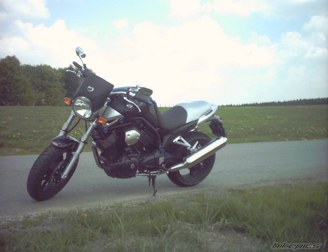 2004 YAMAHA BULLDOG | Picture 591770 motorcycle photo