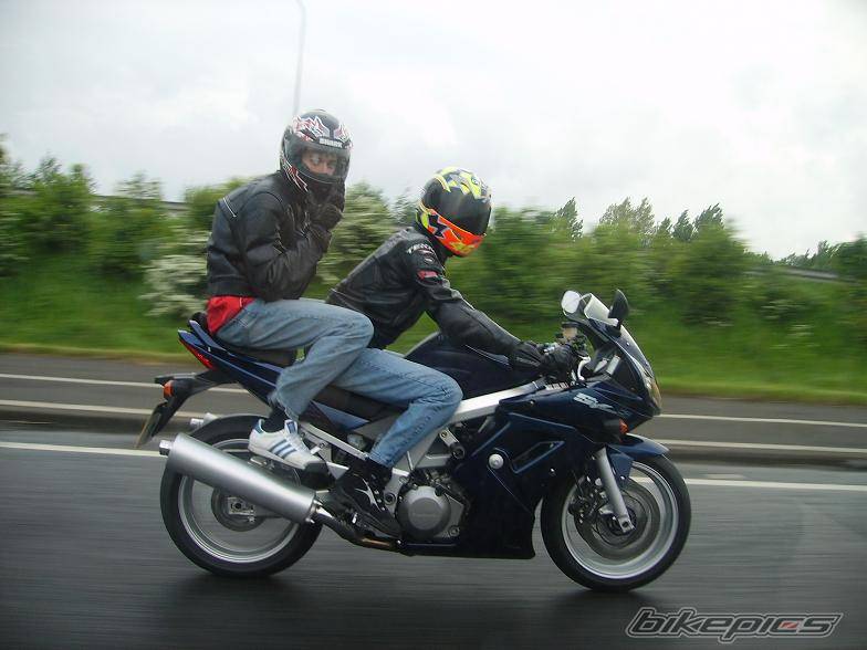 2006 SUZUKI SV 1000 S | Picture 591914 motorcycle photo