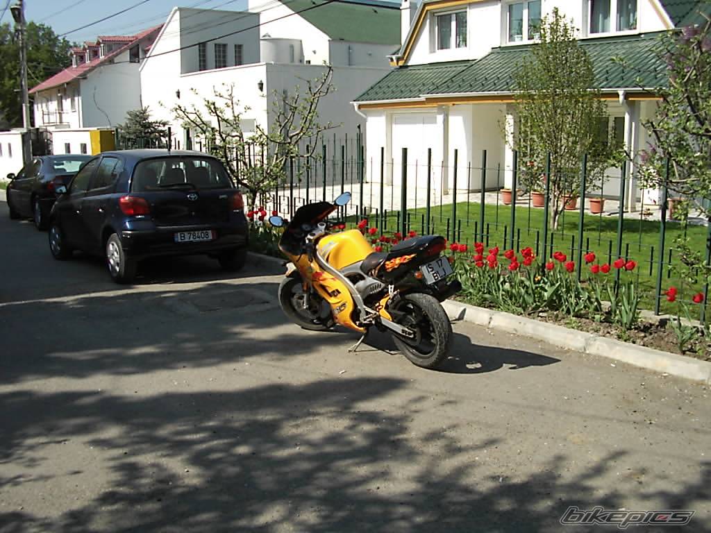 2002 PEUGEOT XR6 | Picture 591931 motorcycle photo