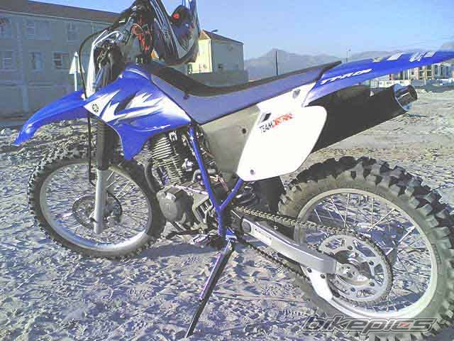 2006 YAMAHA TT R 230 | Picture 592008 motorcycle photo