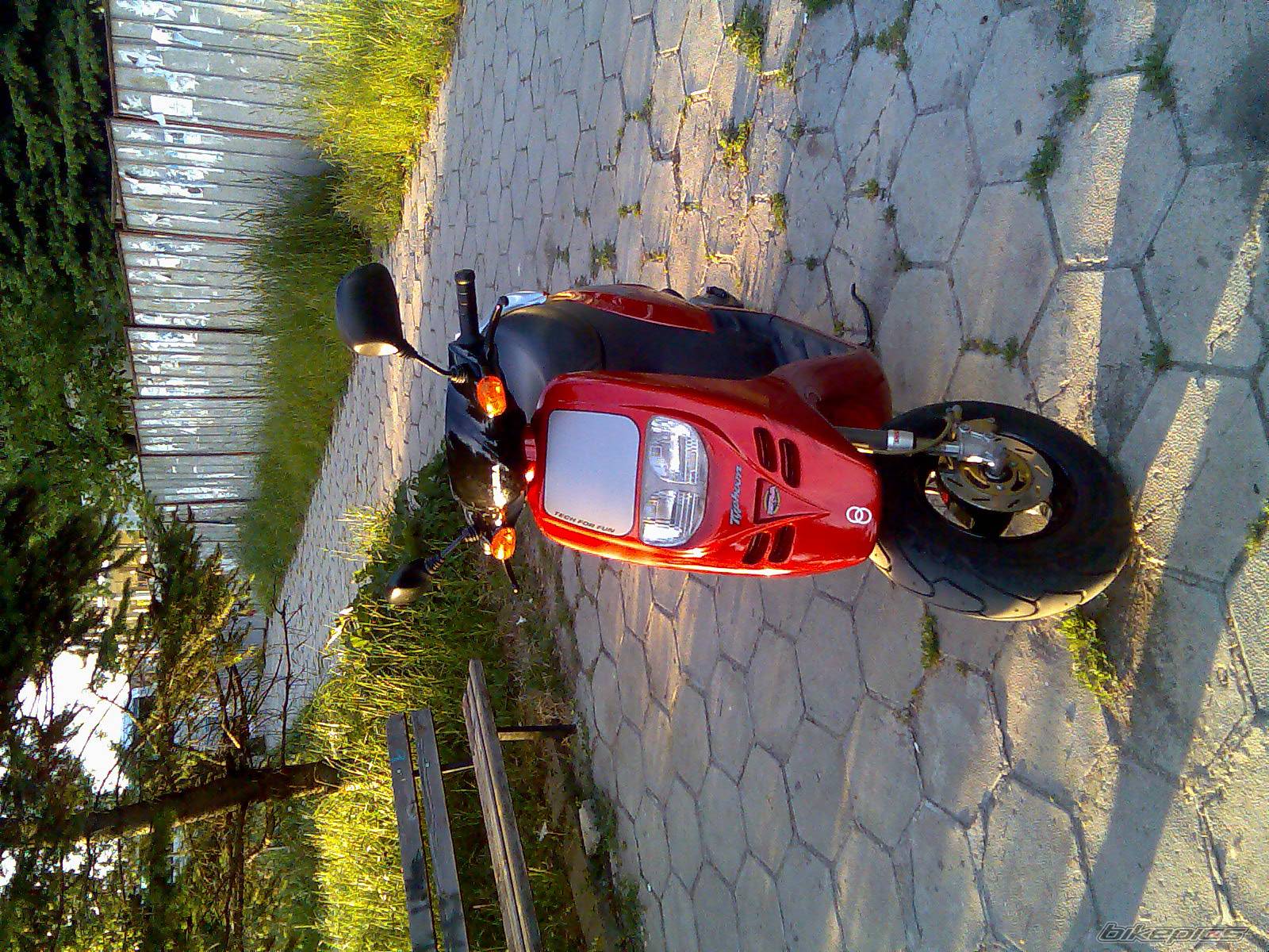 1993 GILERA TYPHOON 50 | Picture 592135 motorcycle photo