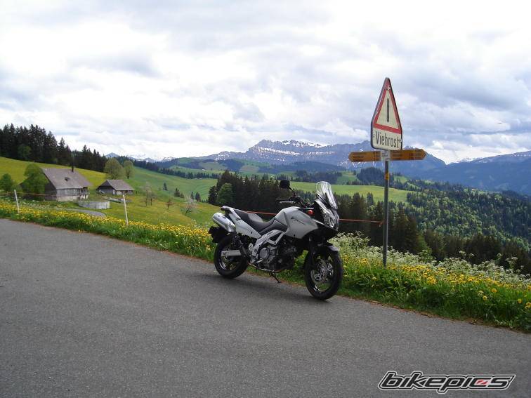 2006 SUZUKI DL 650 | Picture 593256 motorcycle photo