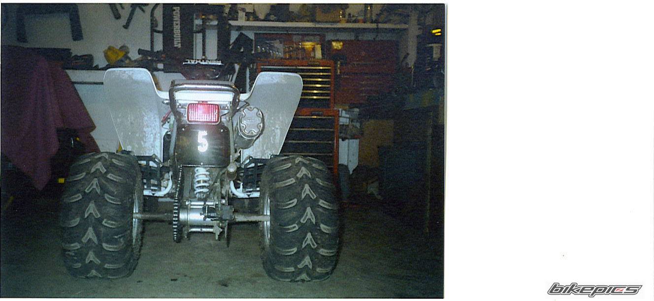 2004 YAMAHA WARRIOR | Picture 593548 motorcycle photo
